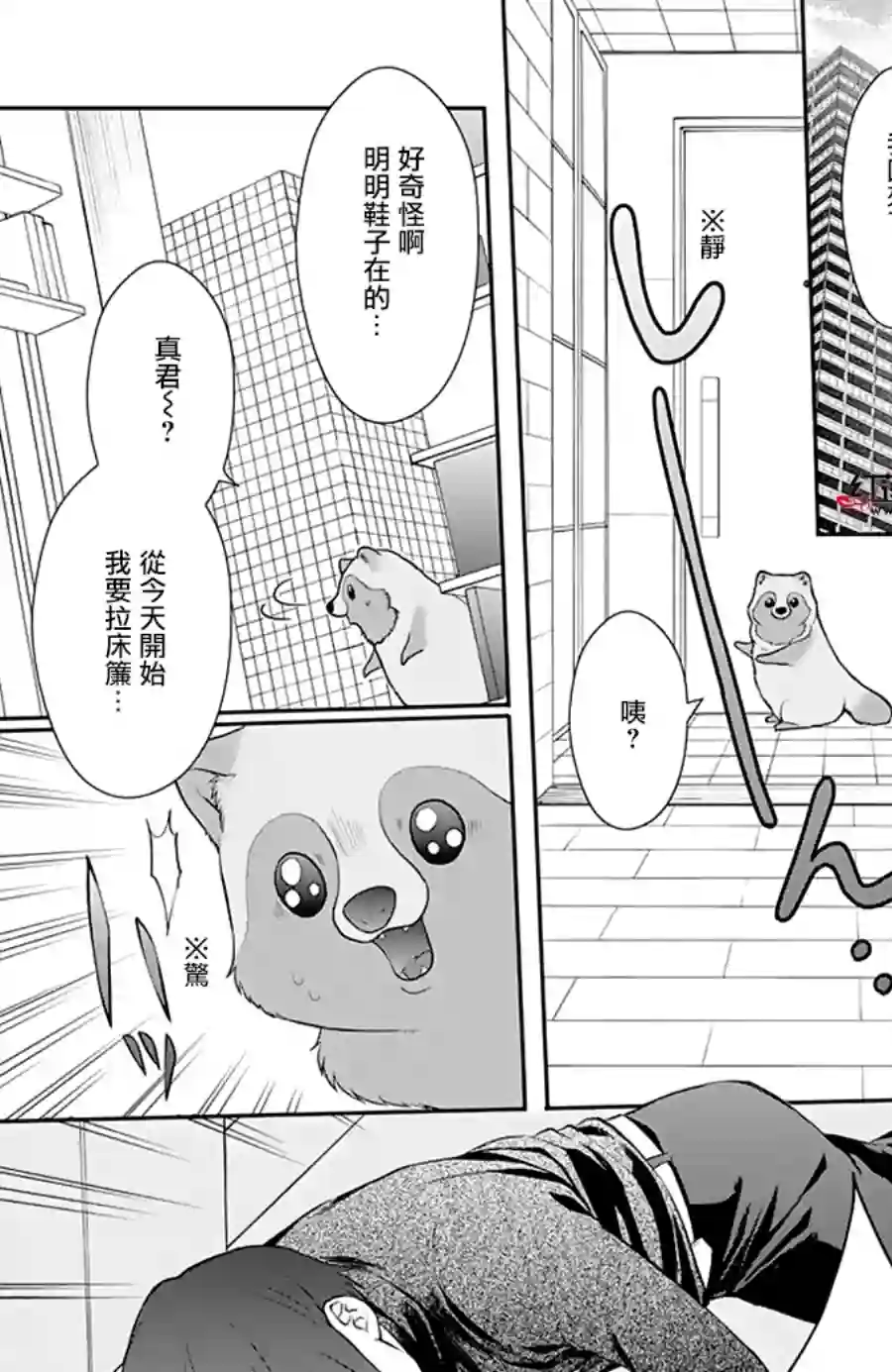 恋爱吧！狸猫第22话