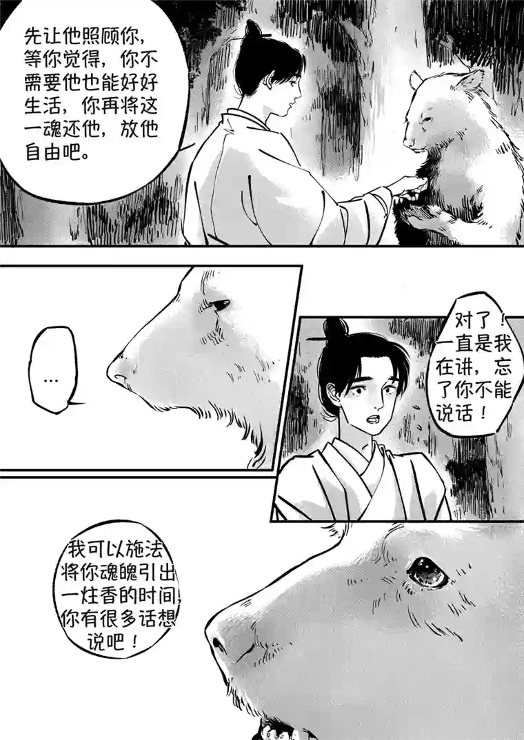 尚善熊重置8