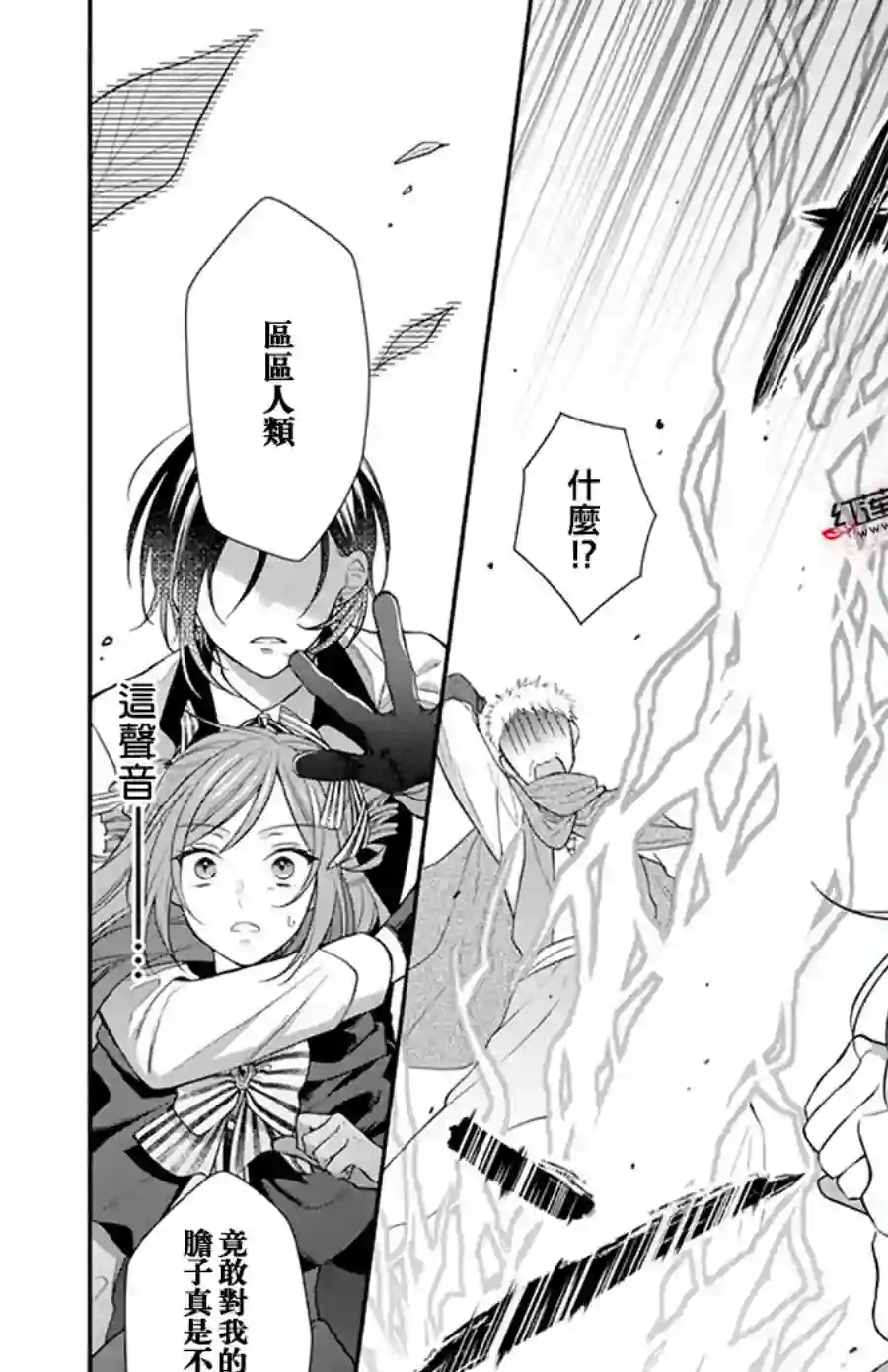 魔女和使魔大人全一话