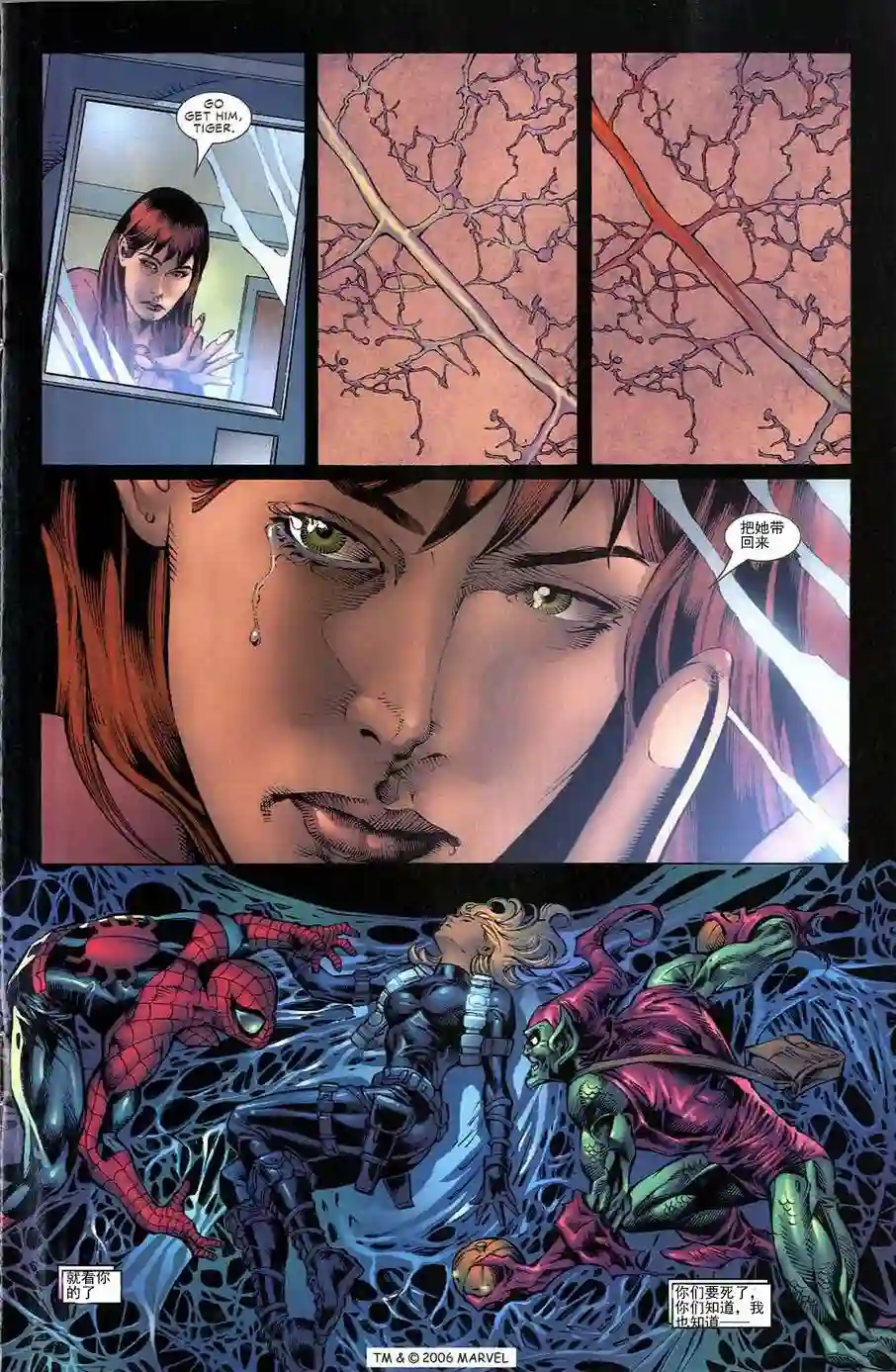 神奇蜘蛛侠第700.5卷