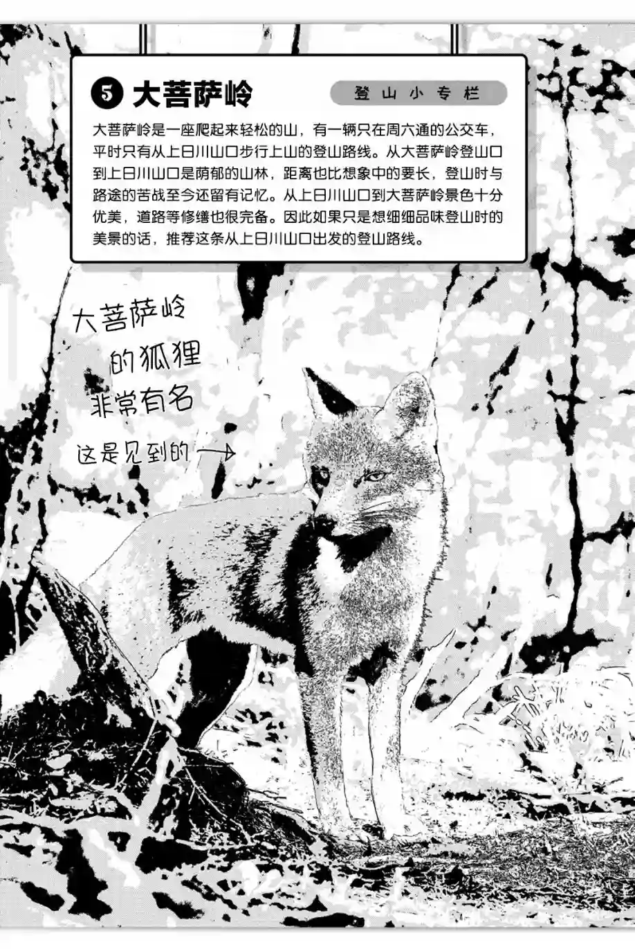 向山进发第91话