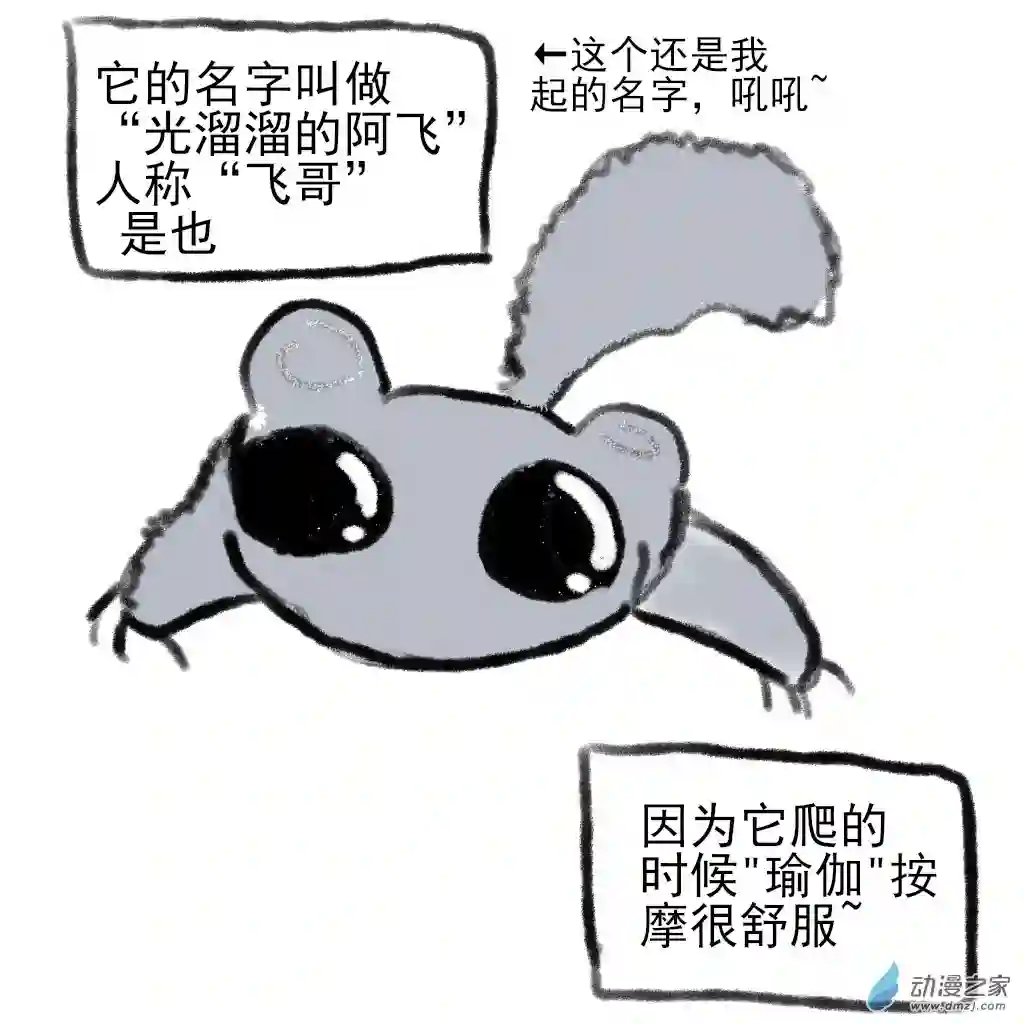 和你们世界第一好04 飞哥