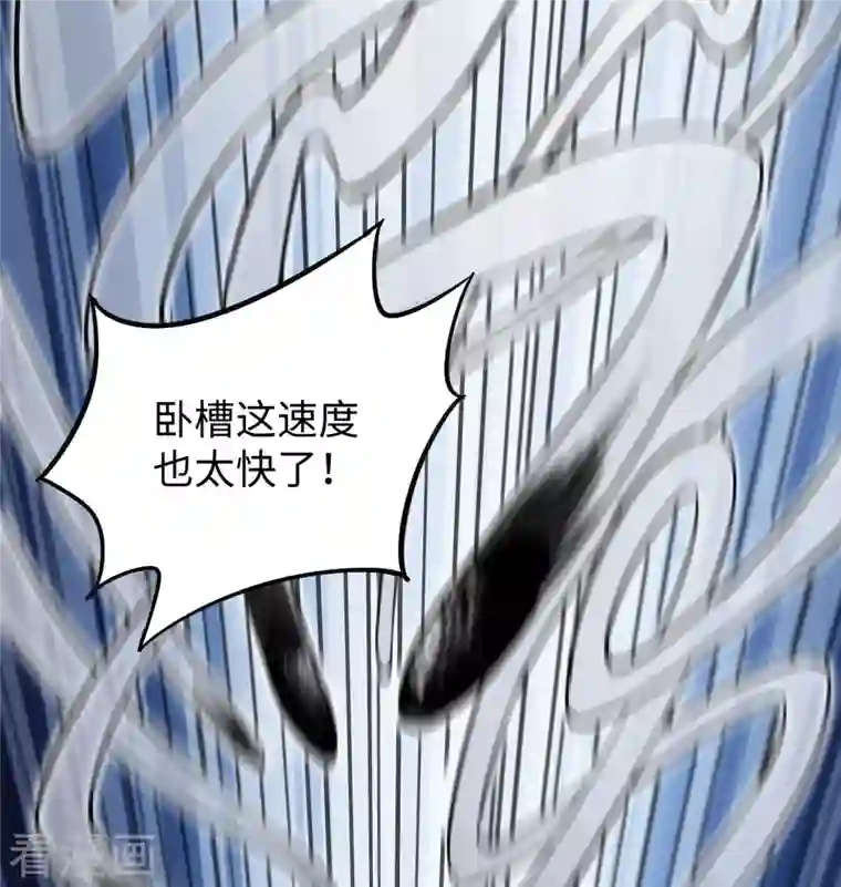 修士之人类边疆第95话 调虎离山