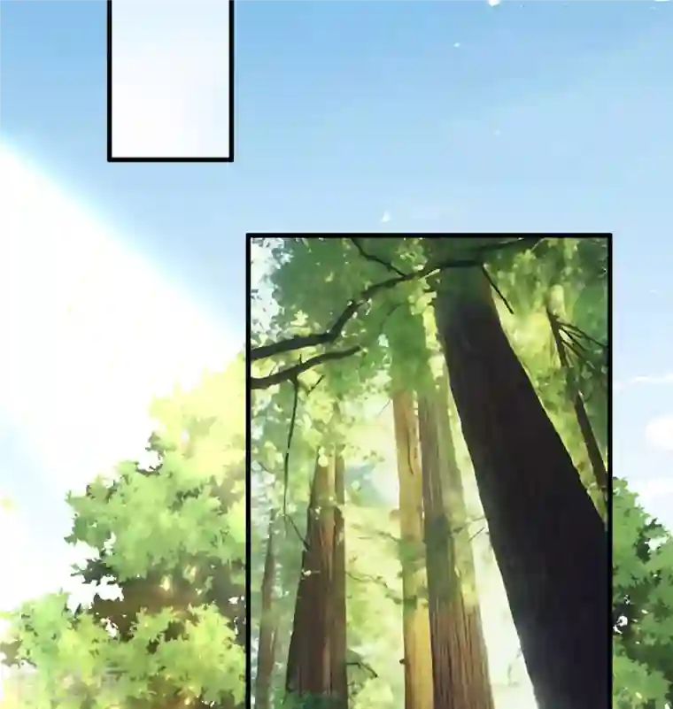 修士之人类边疆第125话 幻境与预言