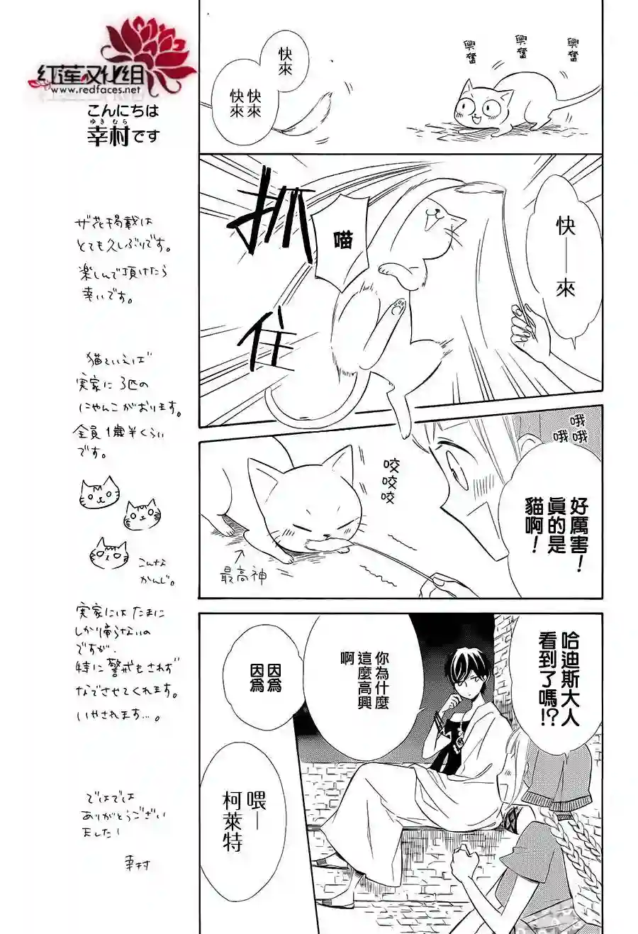 选择死亡的柯莱特番外猫篇