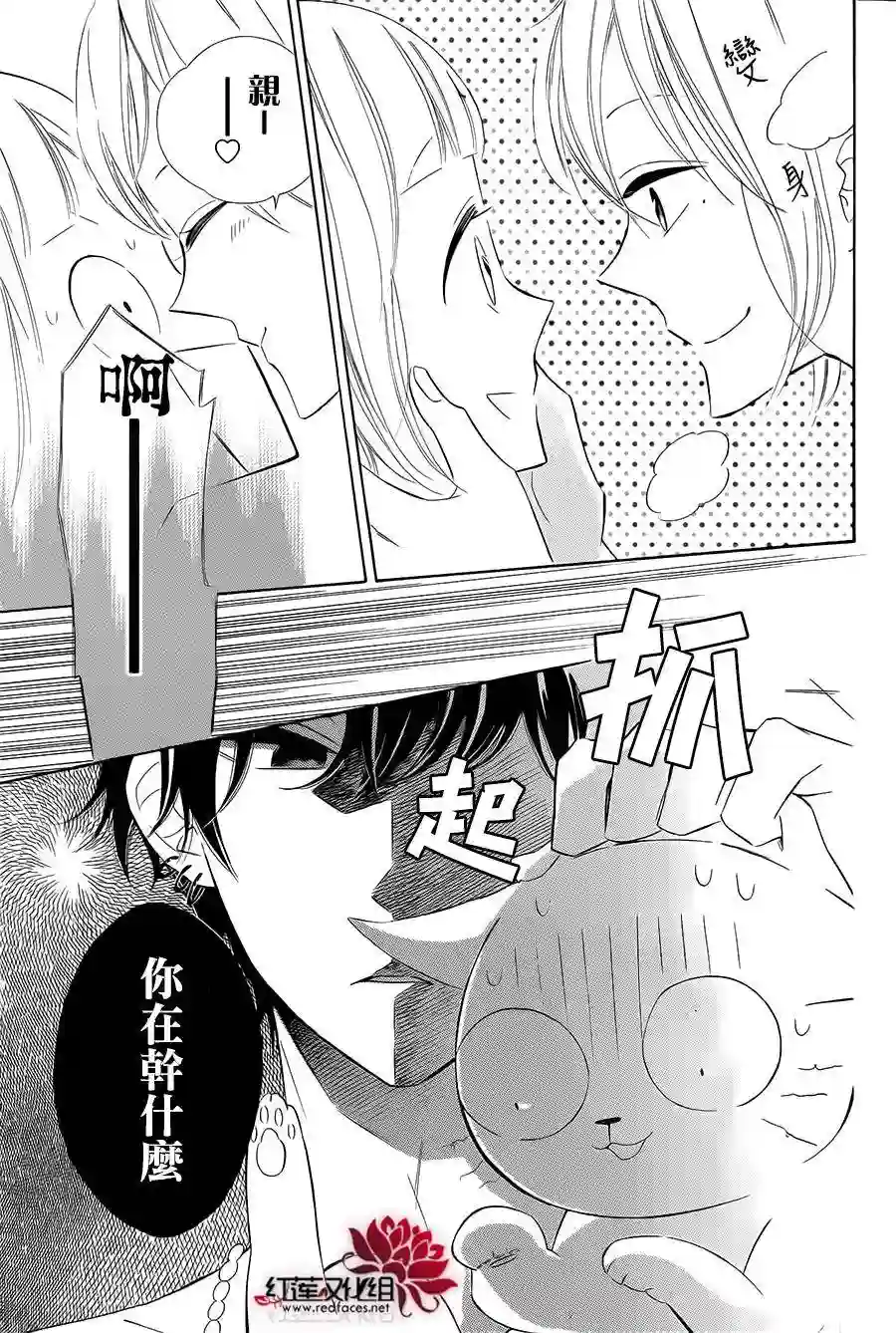 选择死亡的柯莱特番外猫篇