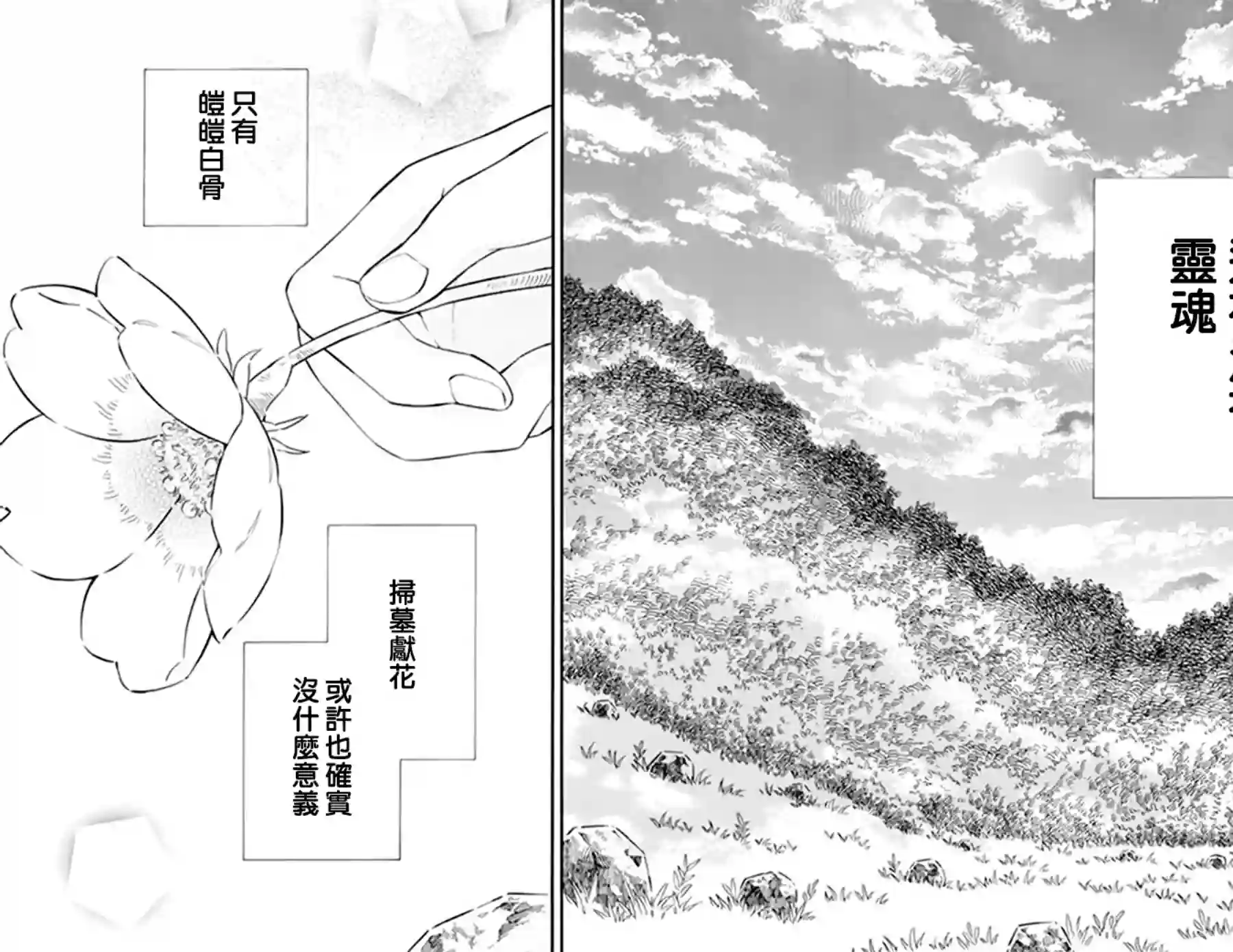 选择死亡的柯莱特第103话