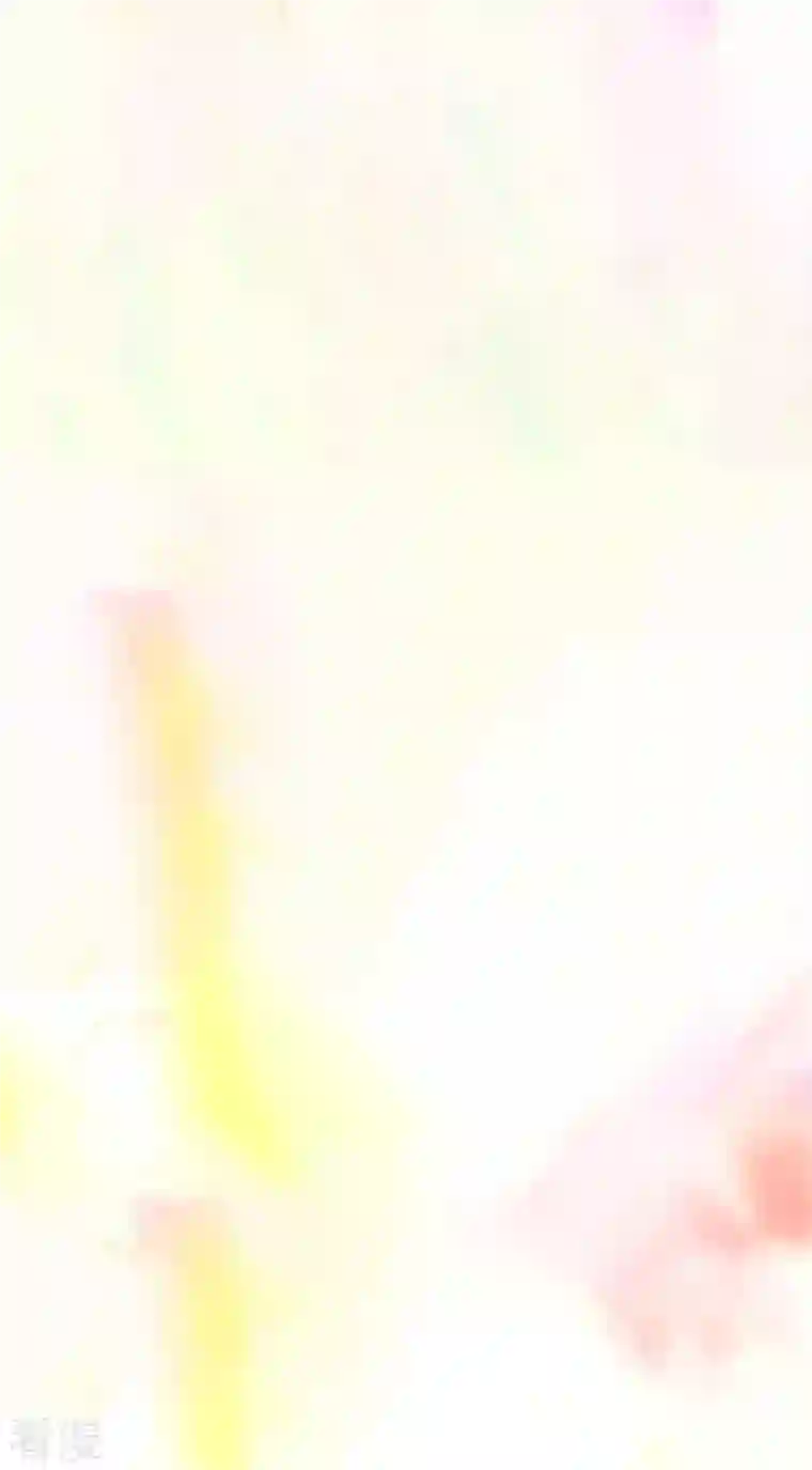 我的守护女友第299话