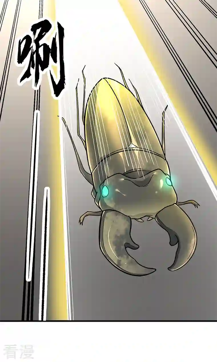 武道独尊第382话 傀虫符道