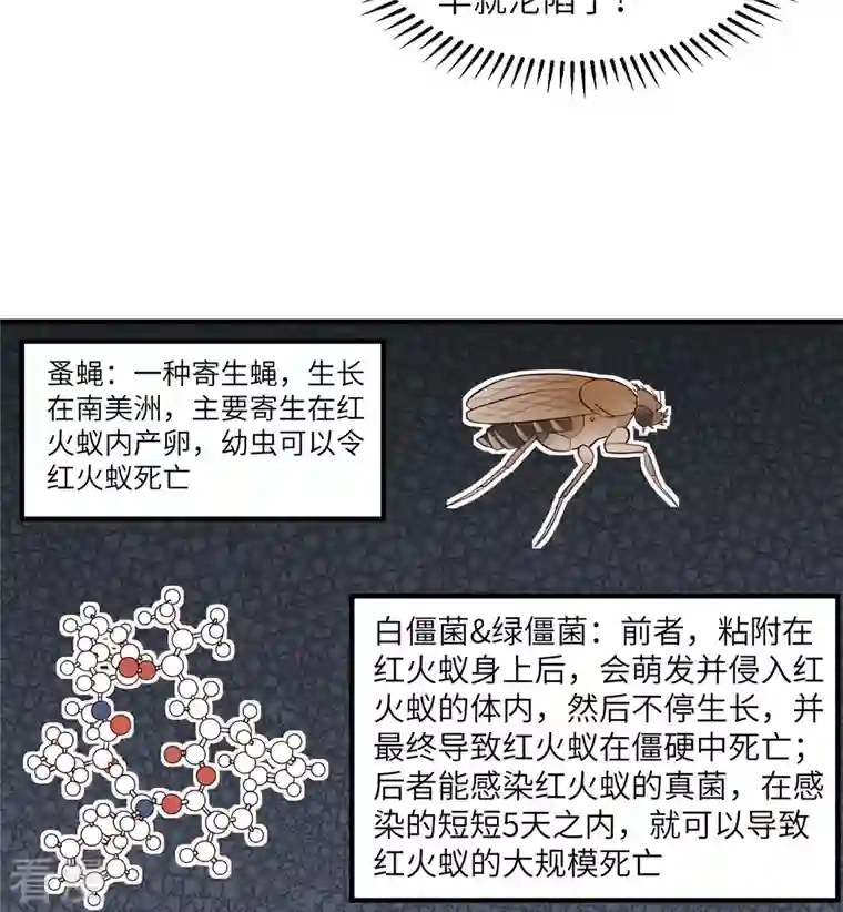 荒岛余生之时空流浪纪第167话