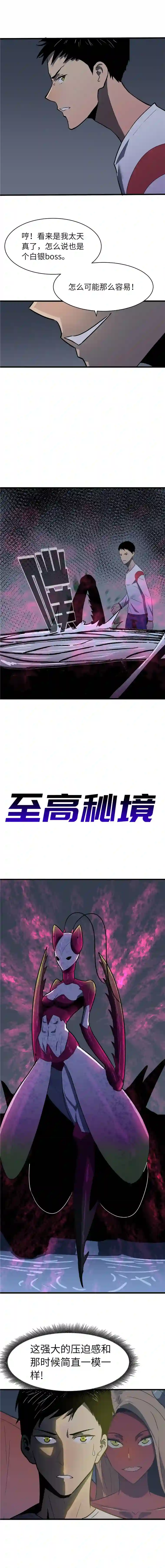 至高秘境混乱武士