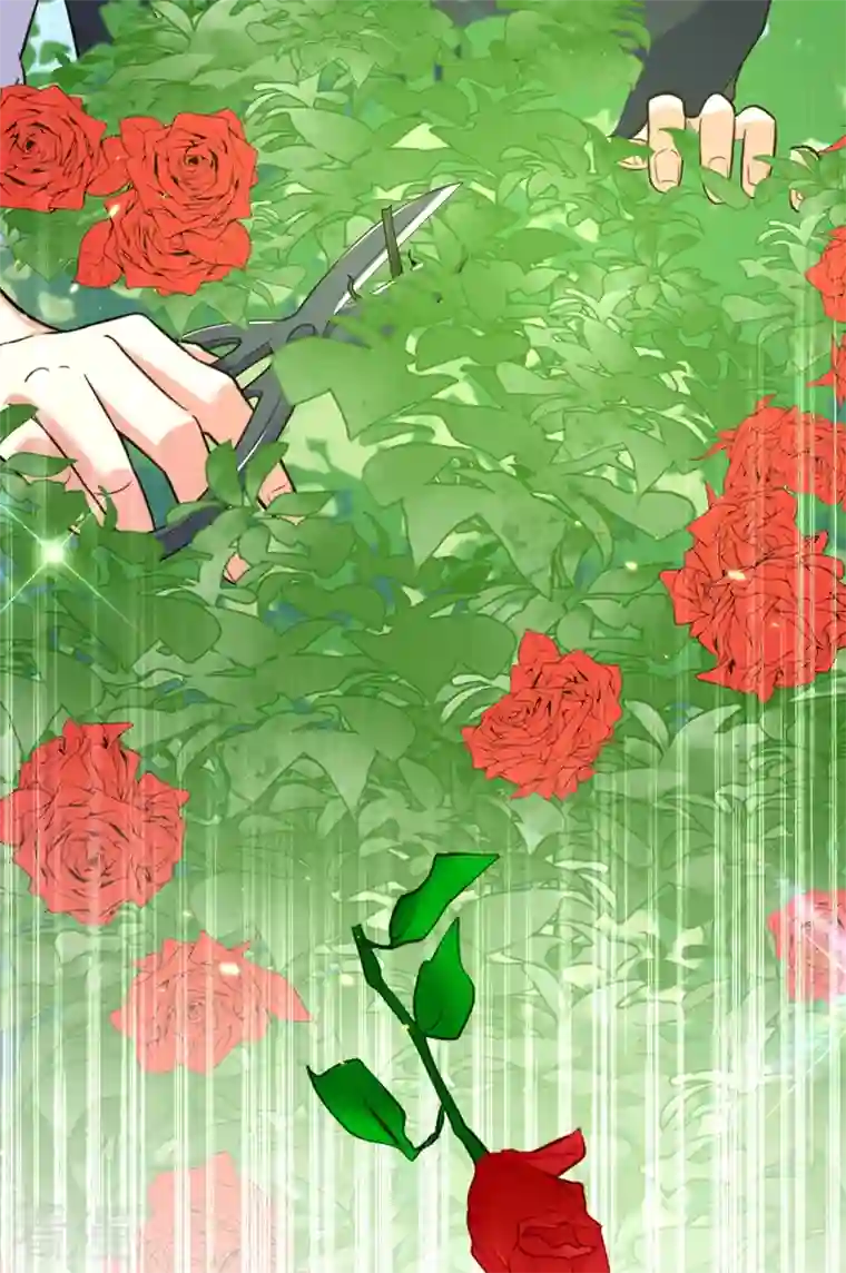 重生空间：豪门辣妻不好惹第310话 奇怪？他们在跟踪我