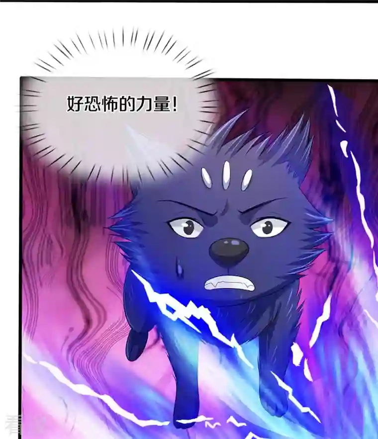 神武天尊第433话 麻烦再次找上门