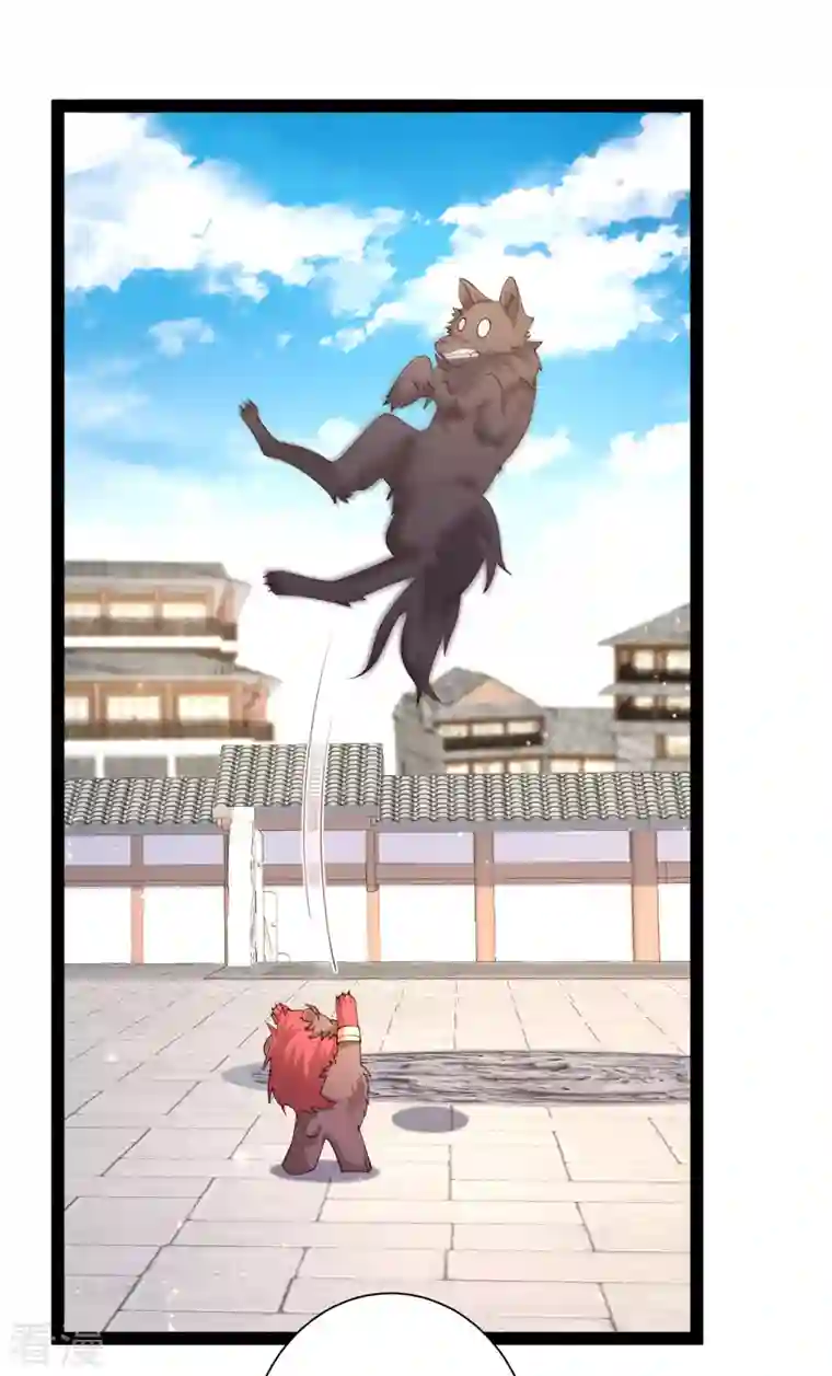 最强桃花运第264话 这么不经揍？？？