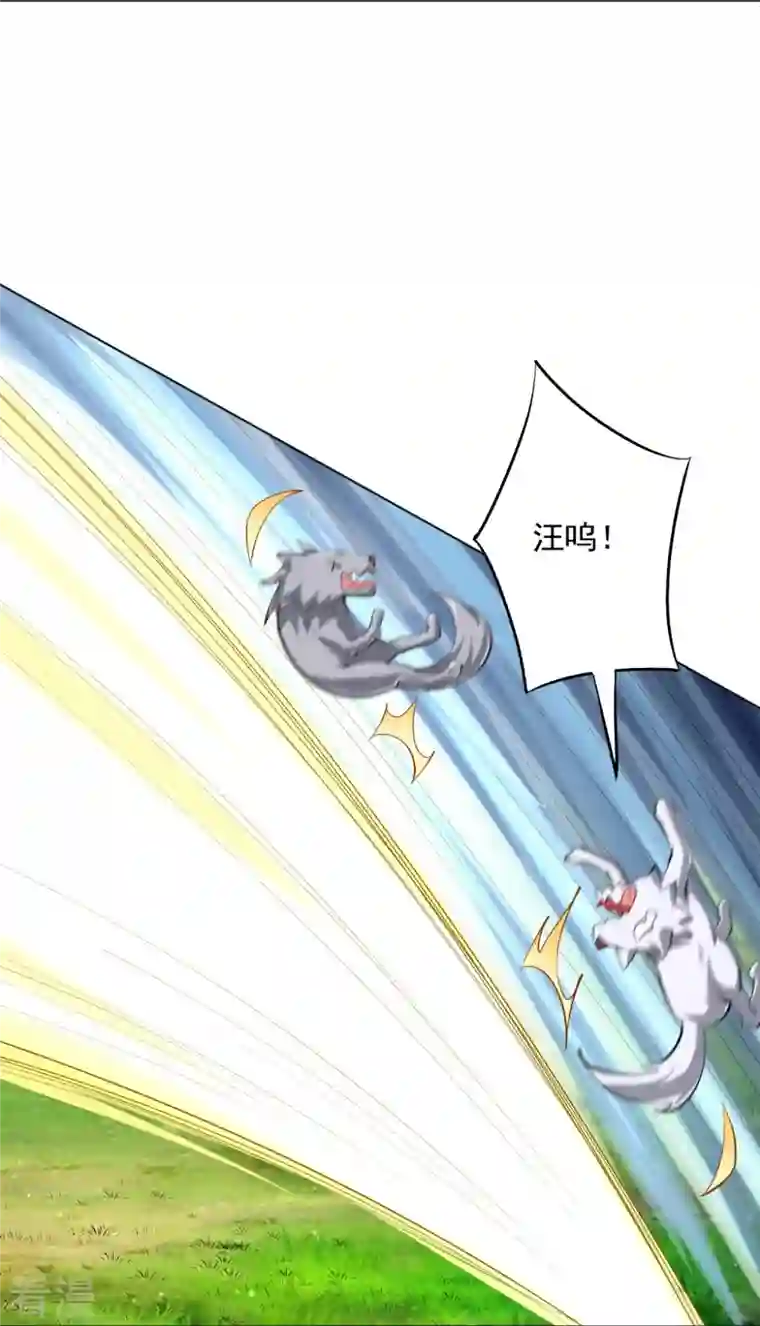 一等家丁第301话 刨了祖坟