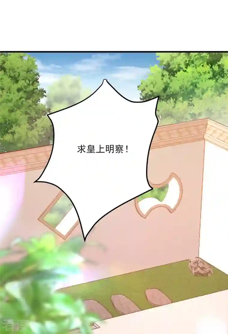 一品嫡女第262话 求皇上明察