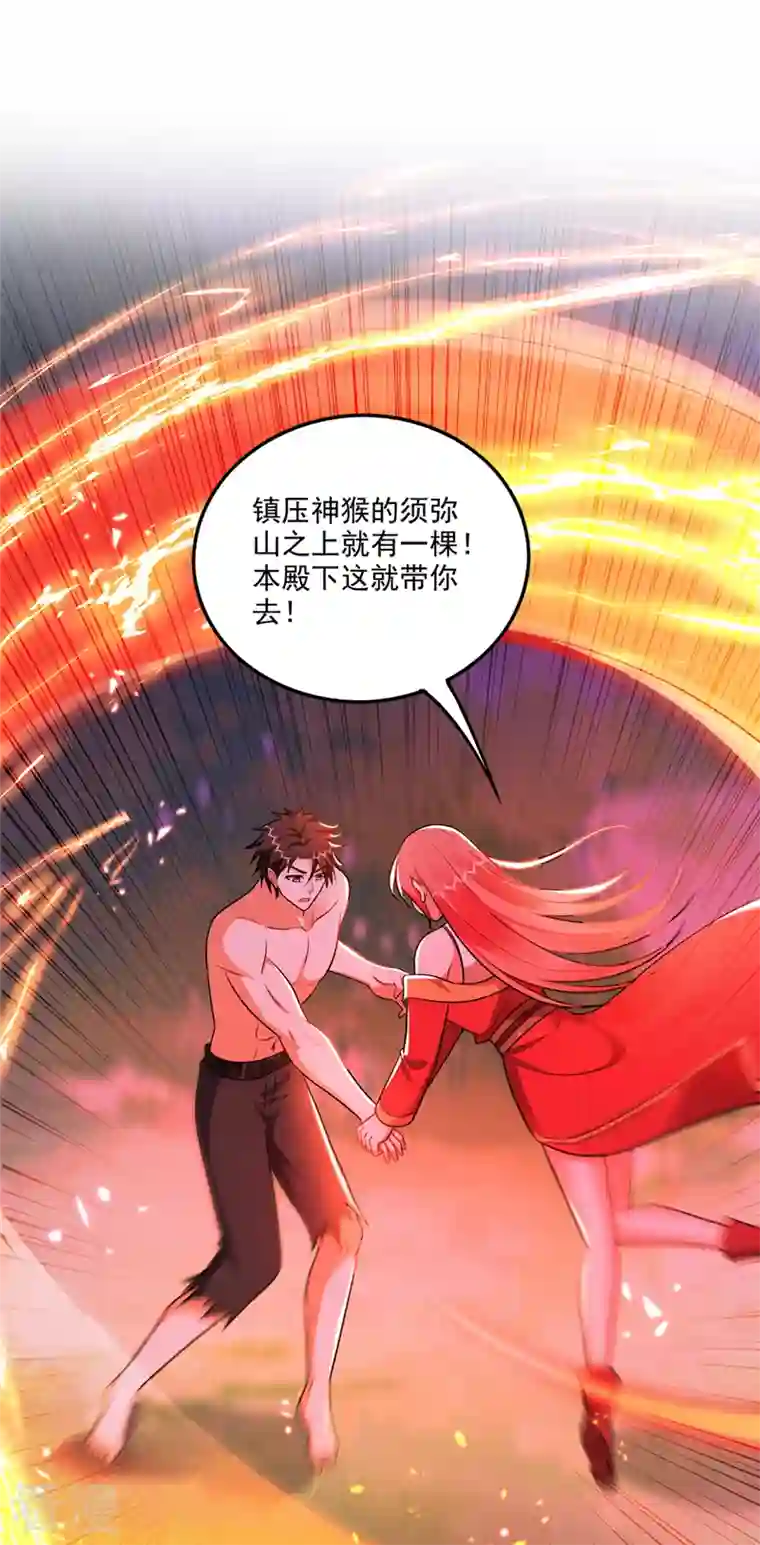 最强神医混都市第256话 进入须弥山结界