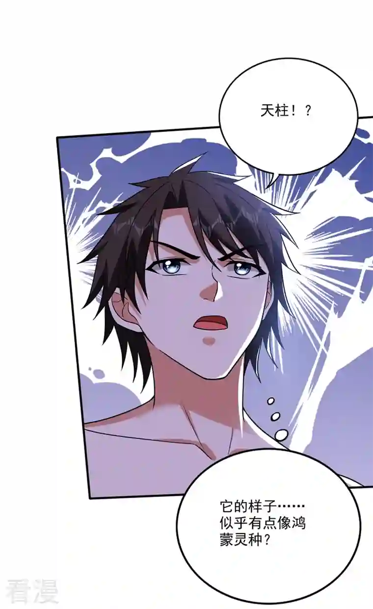 最强神医混都市第257话 这里的传承定要拿下