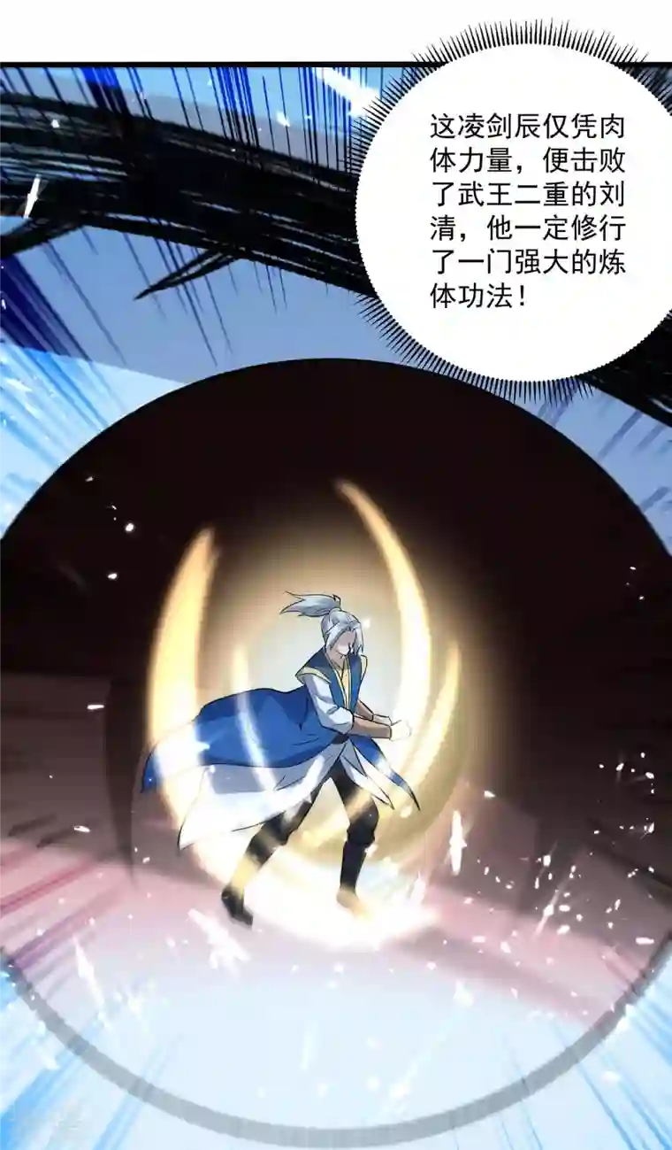 凌天神帝第256话 凌剑辰来了！