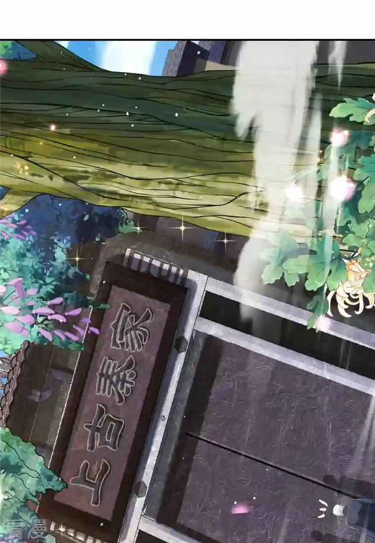 第一赘婿第124话 上古秦家