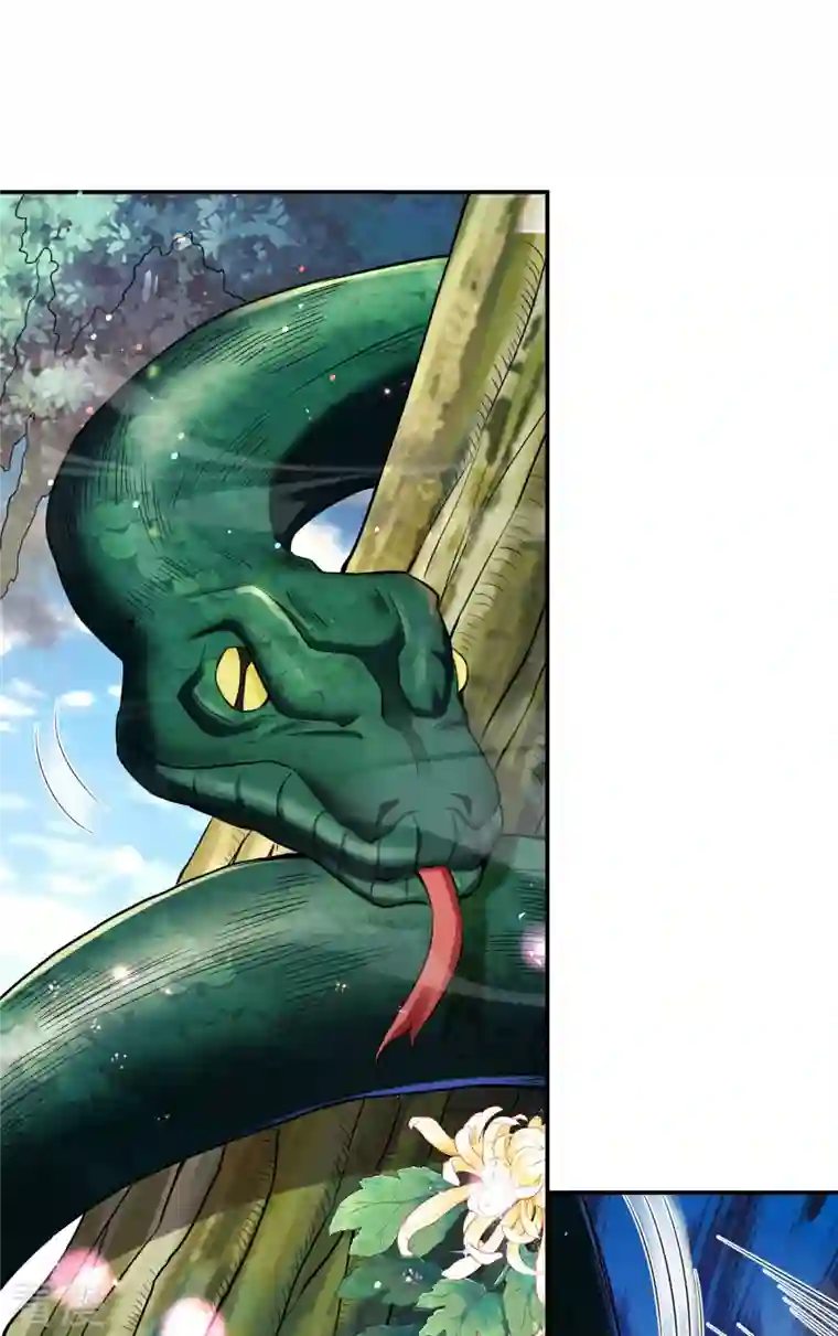 第一赘婿第124话 上古秦家