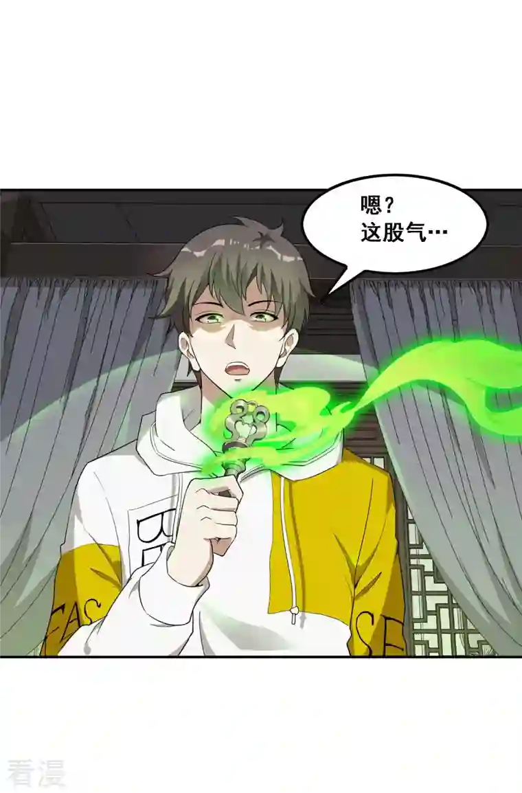 第一赘婿第126话 秦家继承人