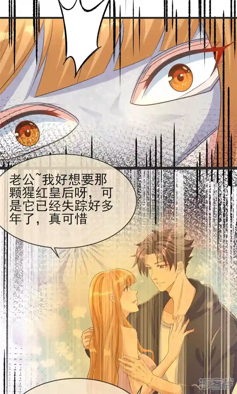 帝婿第108话 我最爱的老婆