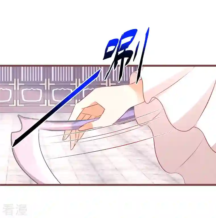 逆天毒妃第267话 来自玄武护法的攻击