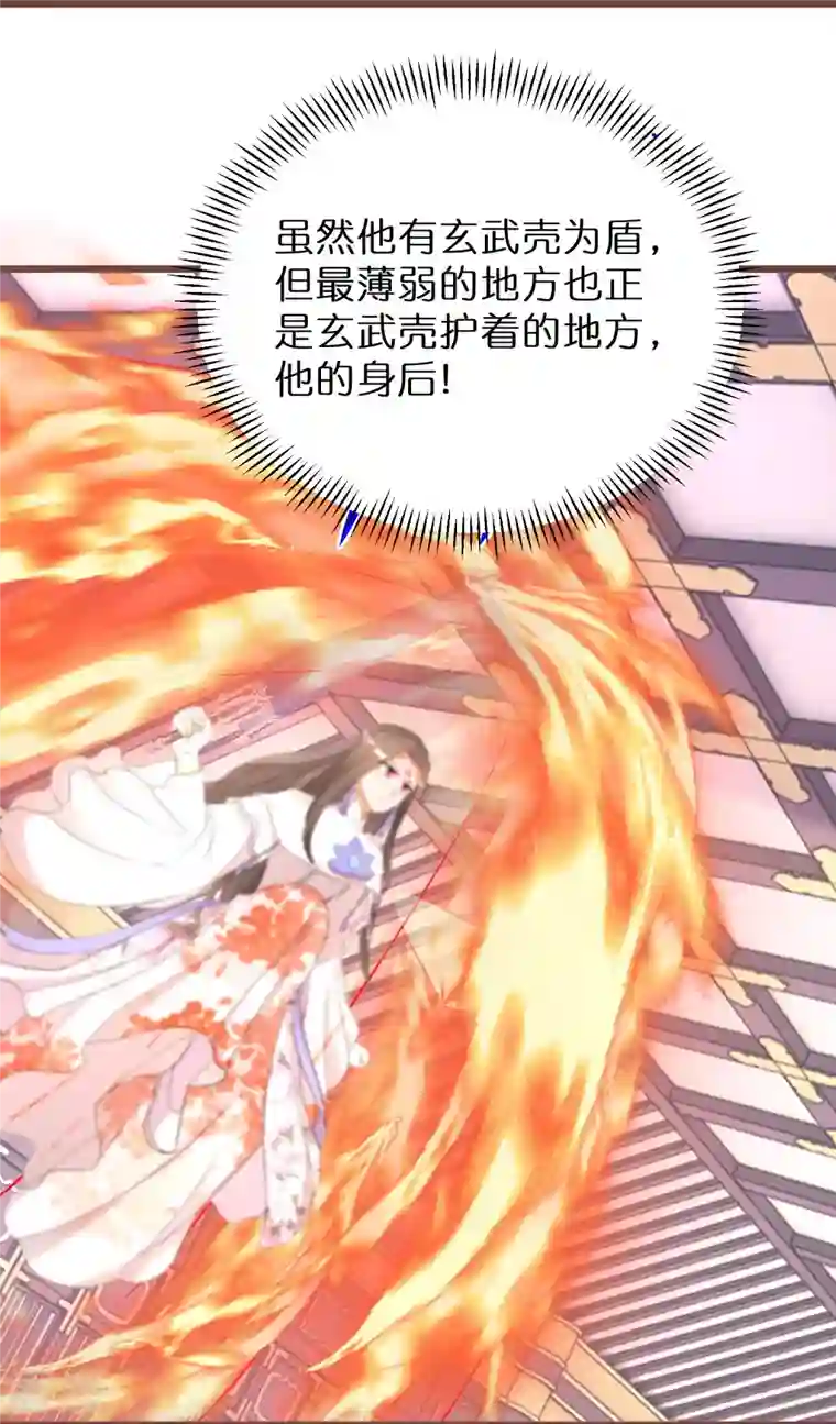 逆天毒妃第268话 玄家少主