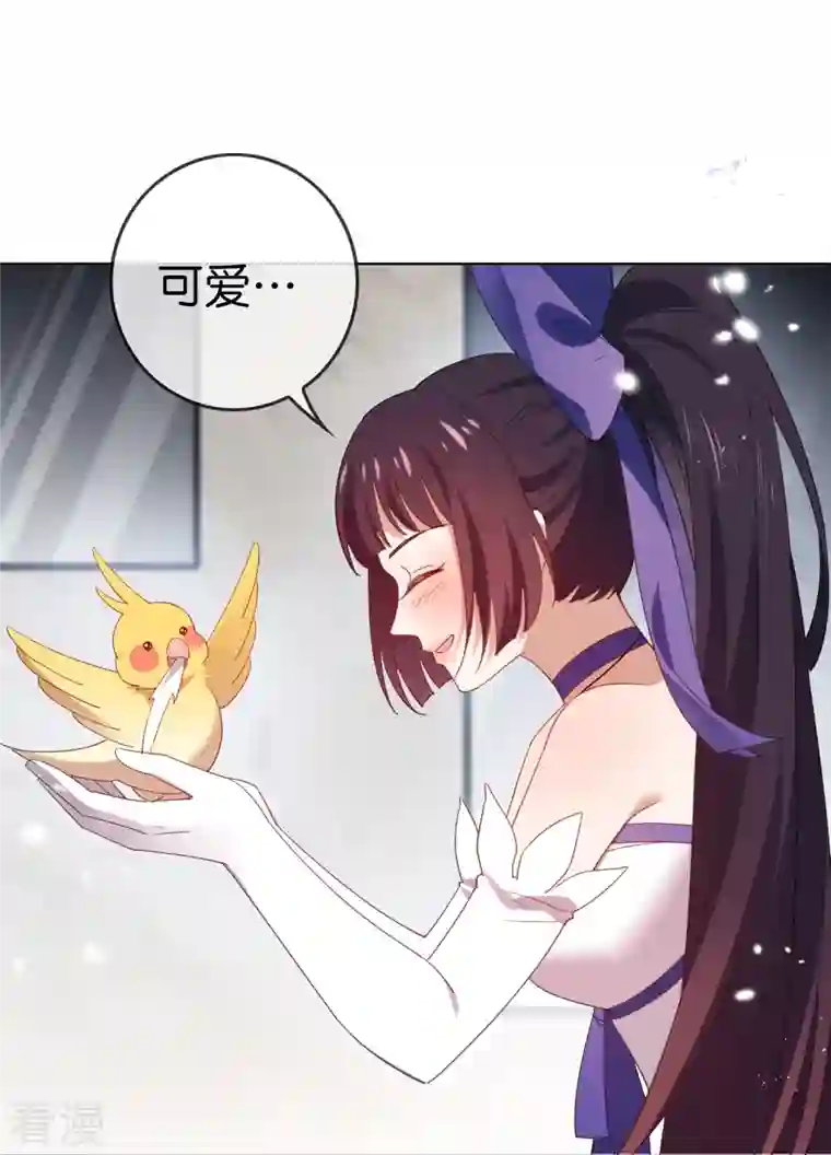 我的末世大小姐第118话 小鸟令箭