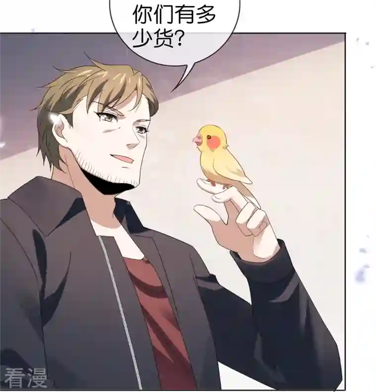 我的末世大小姐第118话 小鸟令箭