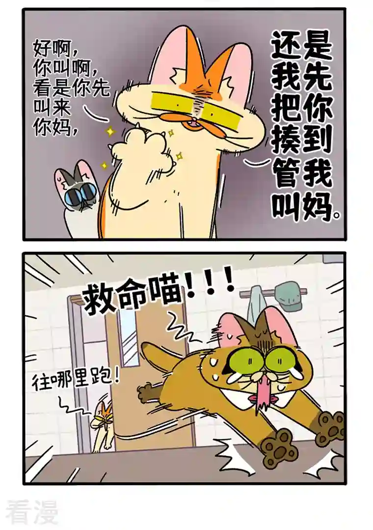 阿满和麦茶第69话2 德皮特滑铁卢