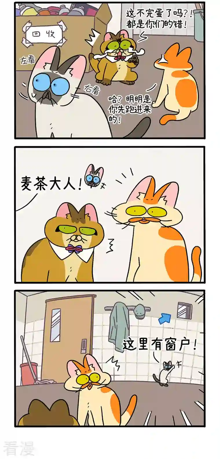 阿满和麦茶第70话1 被困杂物间
