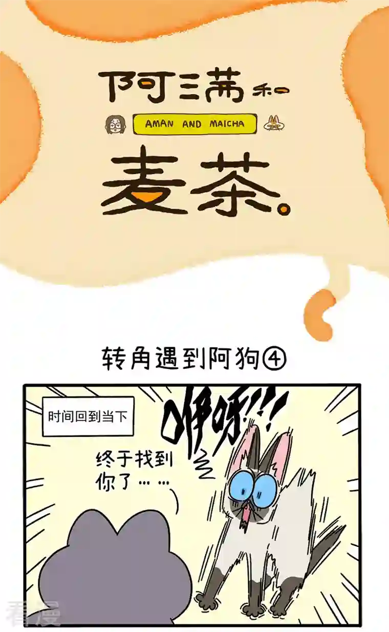 阿满和麦茶第71话2 转角遇到阿狗