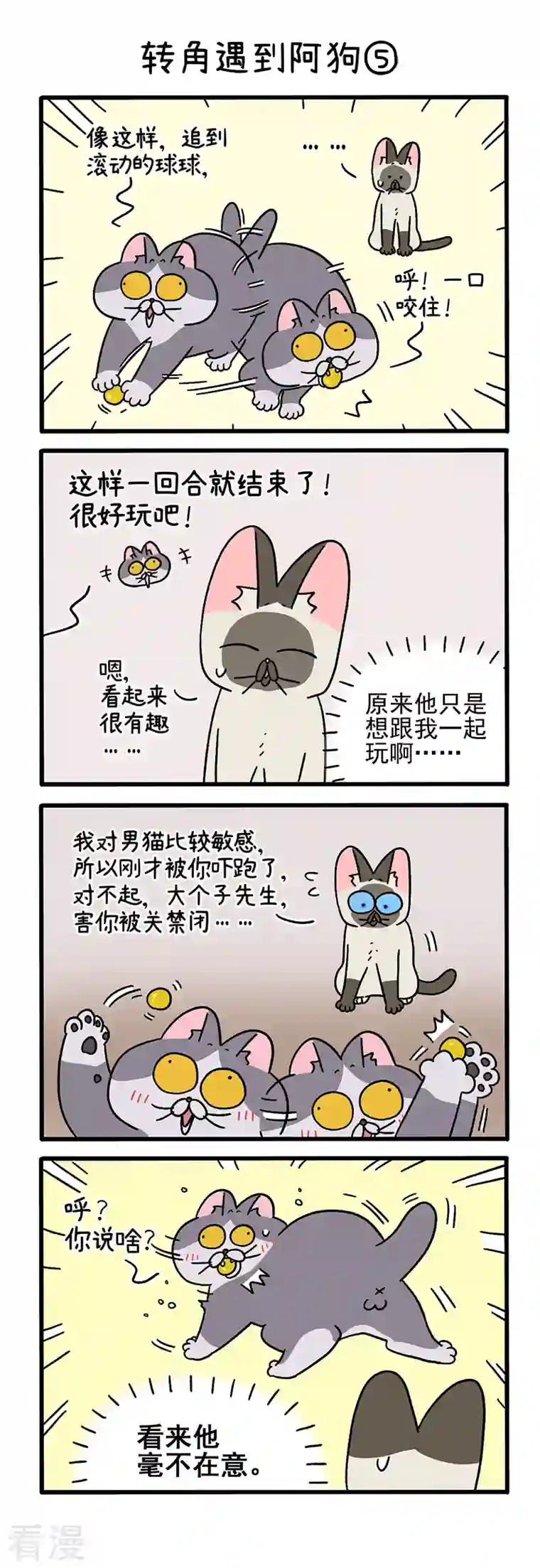 阿满和麦茶第71话2 转角遇到阿狗