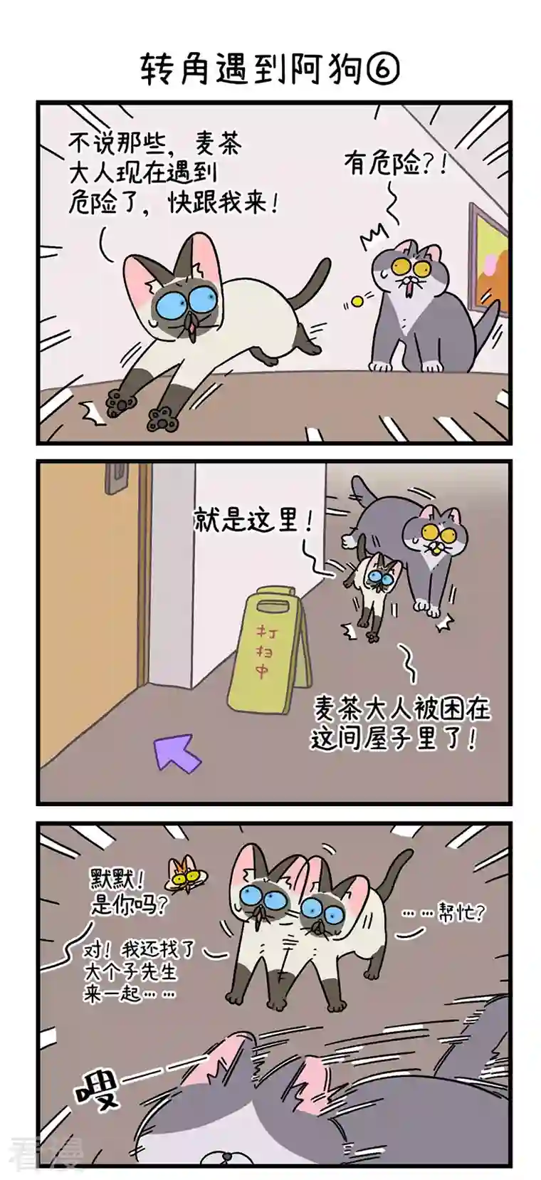 阿满和麦茶第71话2 转角遇到阿狗