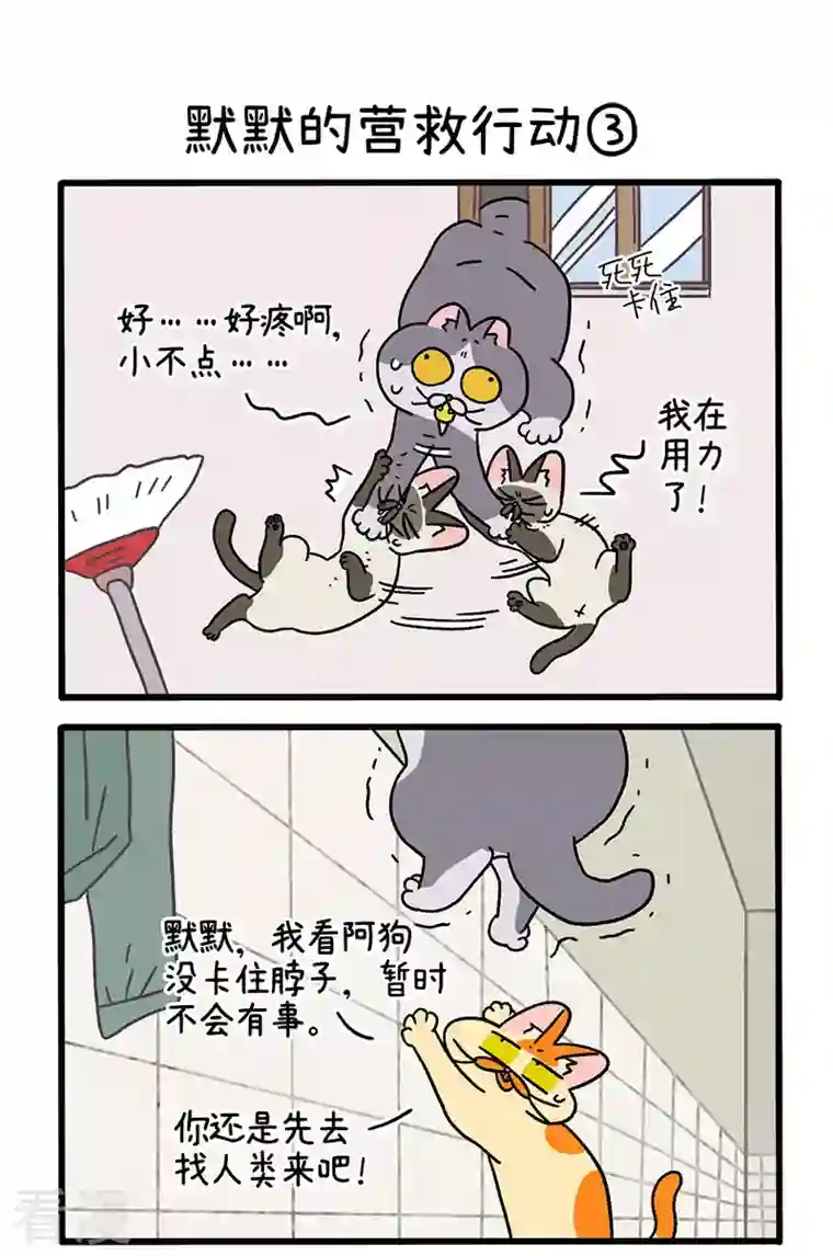 阿满和麦茶第72话1 默默的营救行动