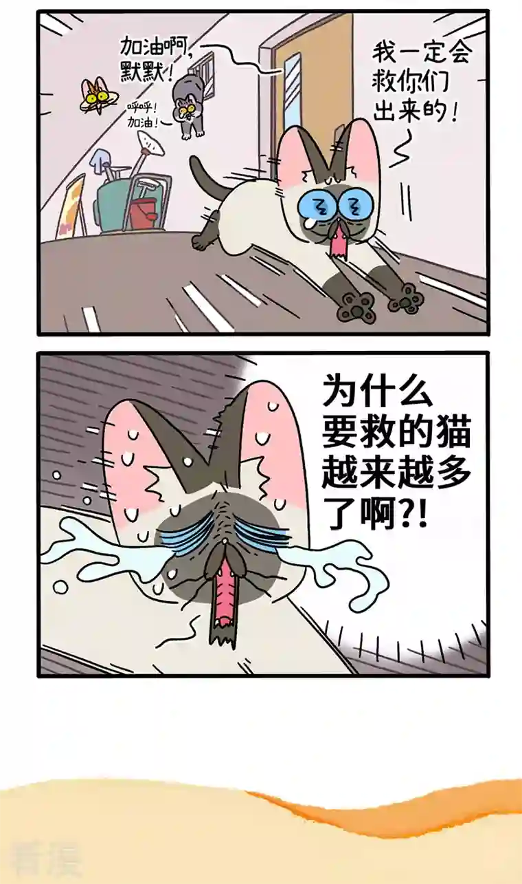 阿满和麦茶第72话1 默默的营救行动
