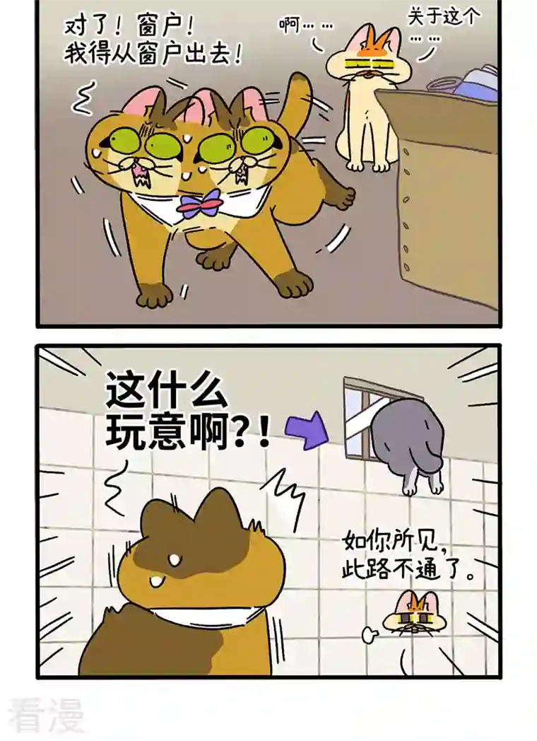 阿满和麦茶第73话1 杂物间脱困