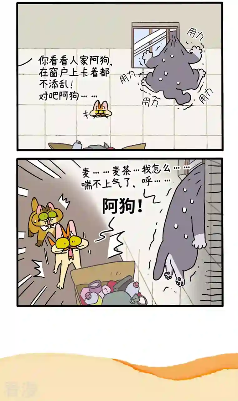 阿满和麦茶第73话1 杂物间脱困