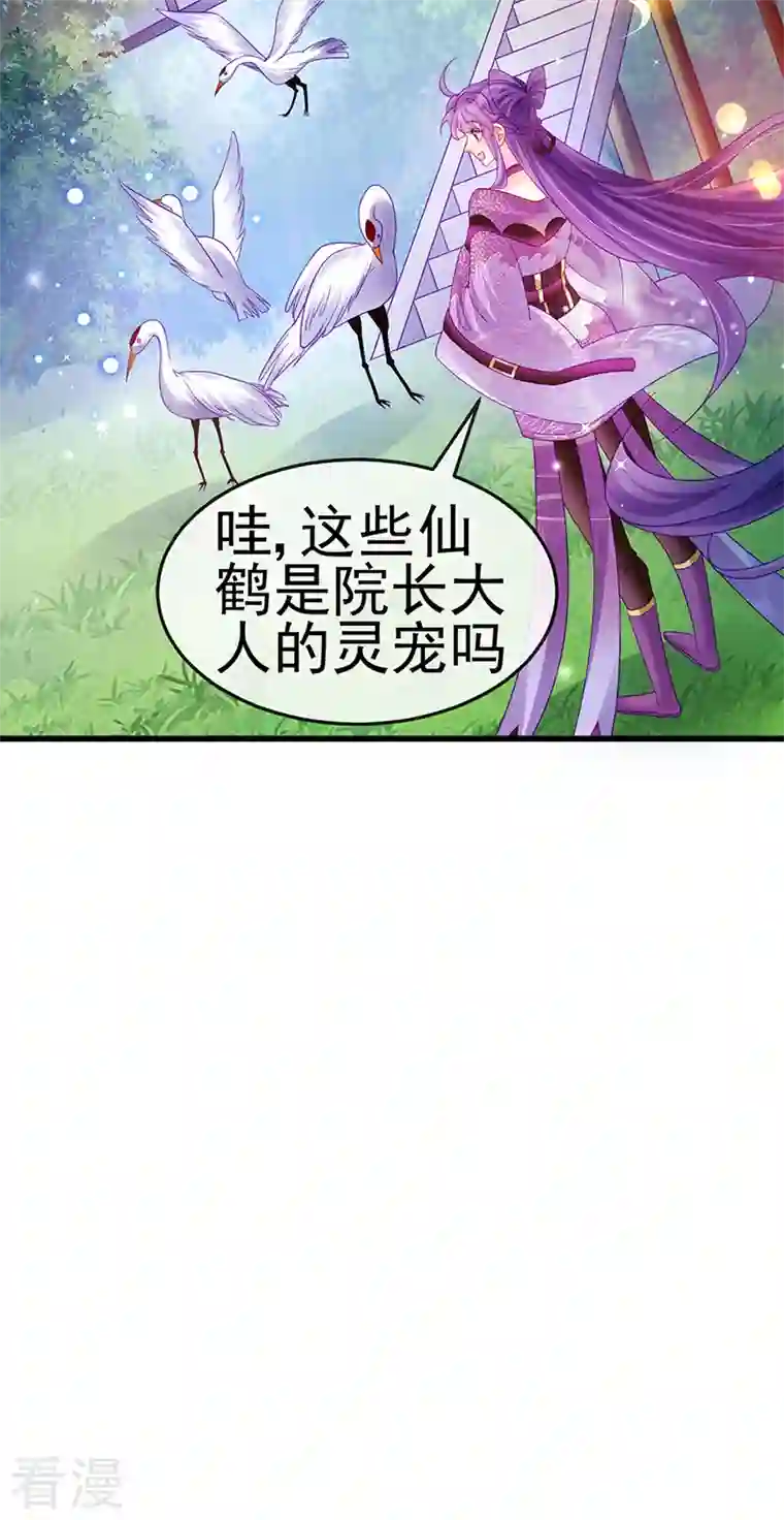 军火女凰第128话 新男宠仙鹤童子