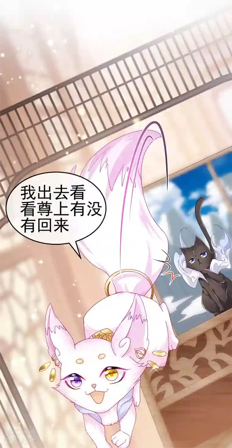 虐渣的一百种方式第43话 缘系尊上