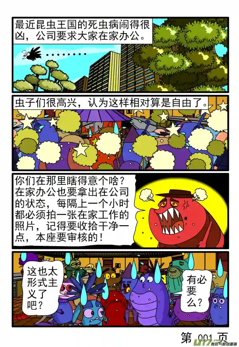 呆呆和瓜瓜网络办公