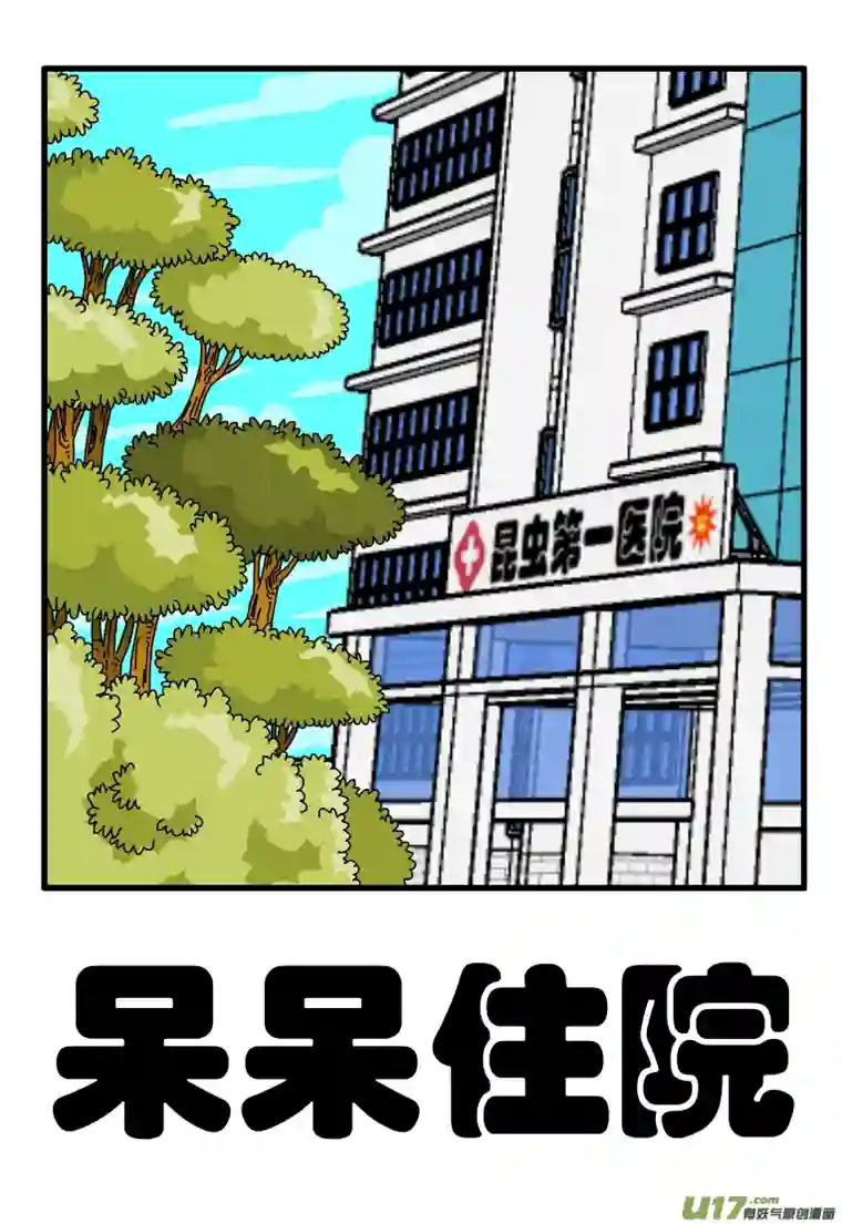 呆呆和瓜瓜呆呆住院