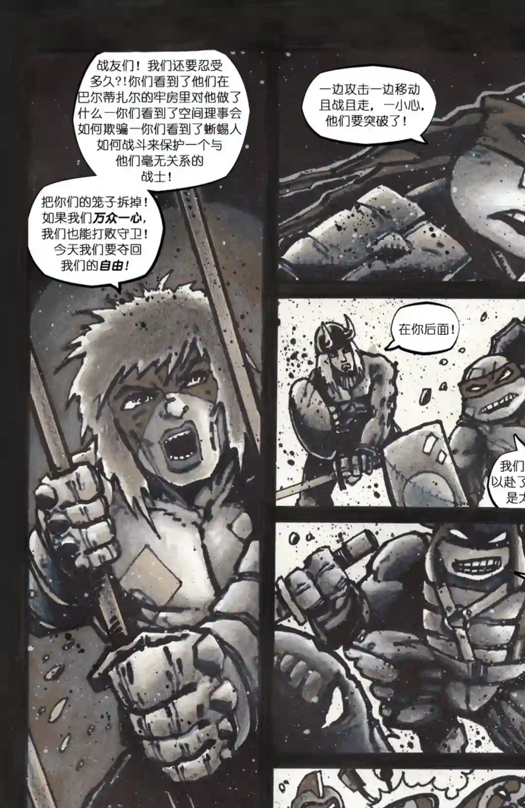 忍者神龟201114年刊
