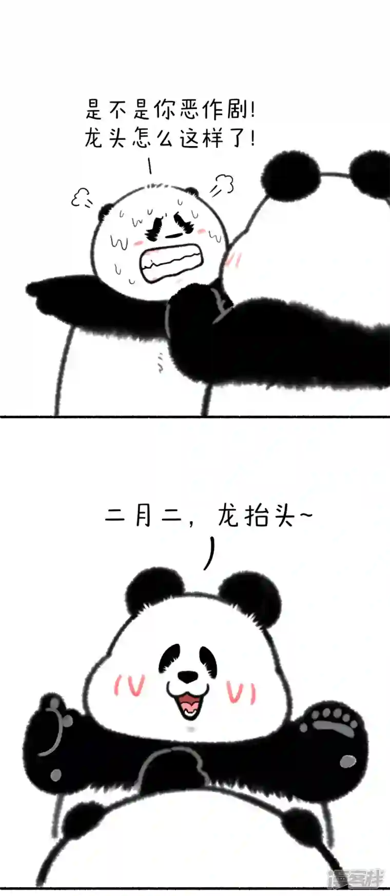 快把动物放进冰箱321二月二龙抬头，一激灵精神抖~