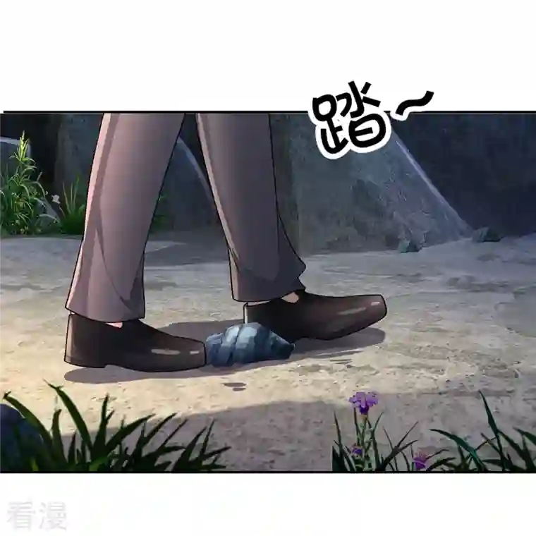 仙尊奶爸当赘婿第285话 天道种子，龙家坠落