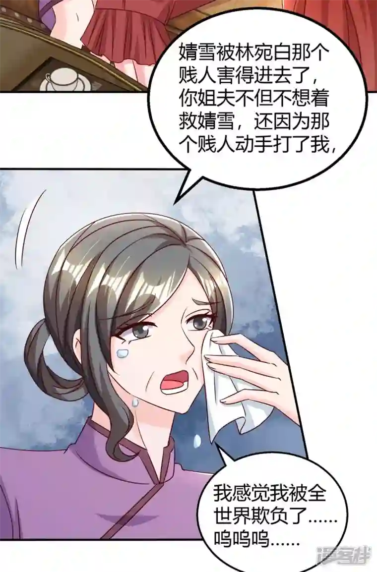 霸道总裁求抱抱第270话 向林宛白道歉