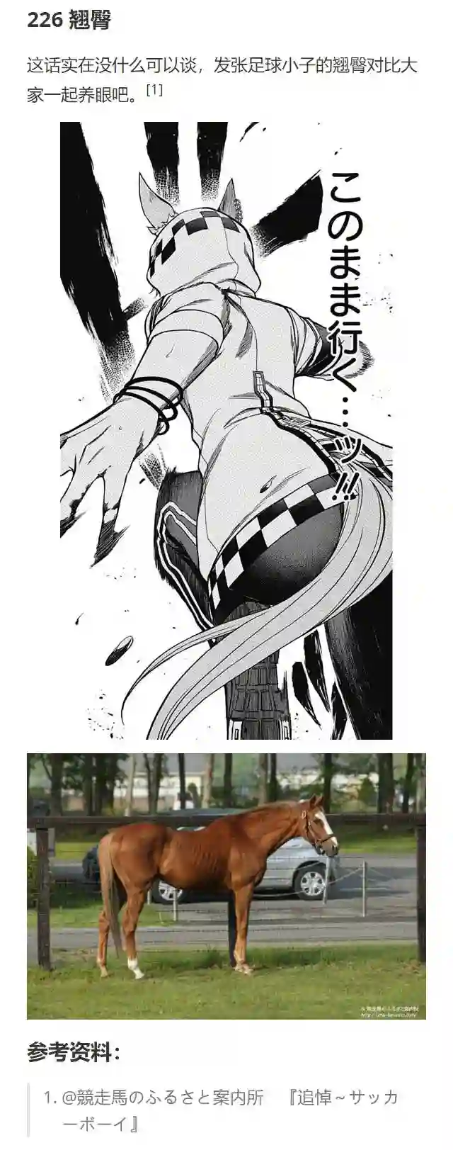 赛马娘：芦毛灰姑娘第70话