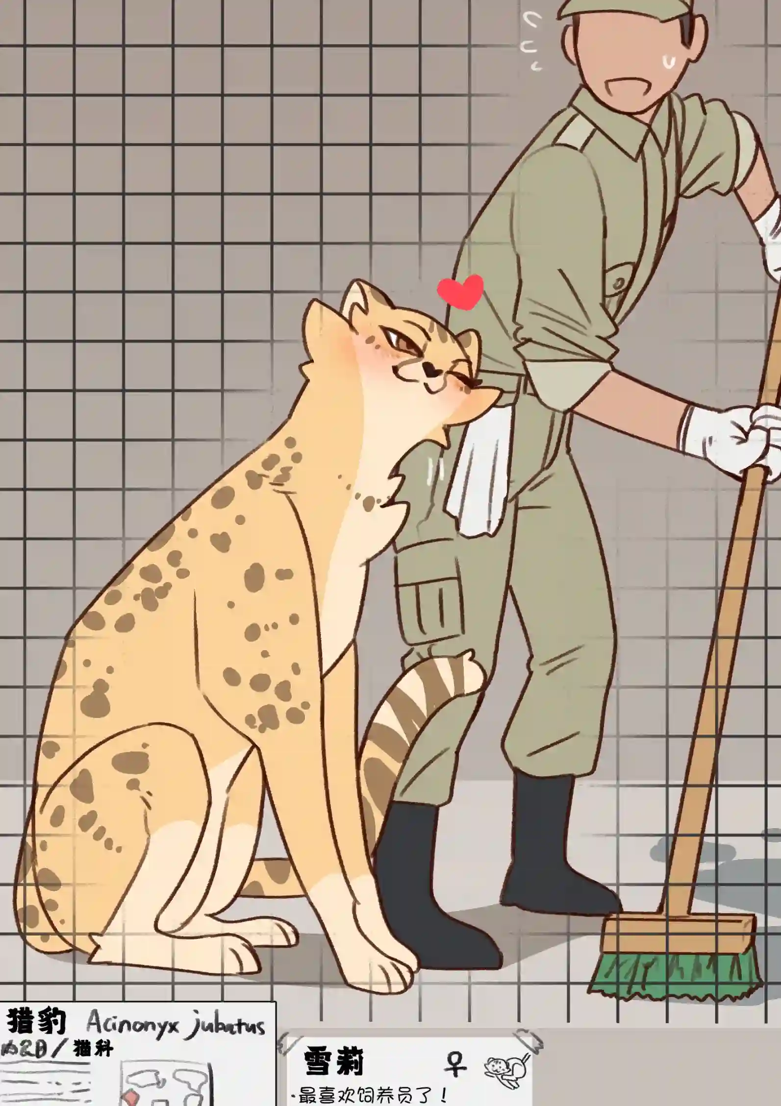 田径部的猎豹前辈合辑二